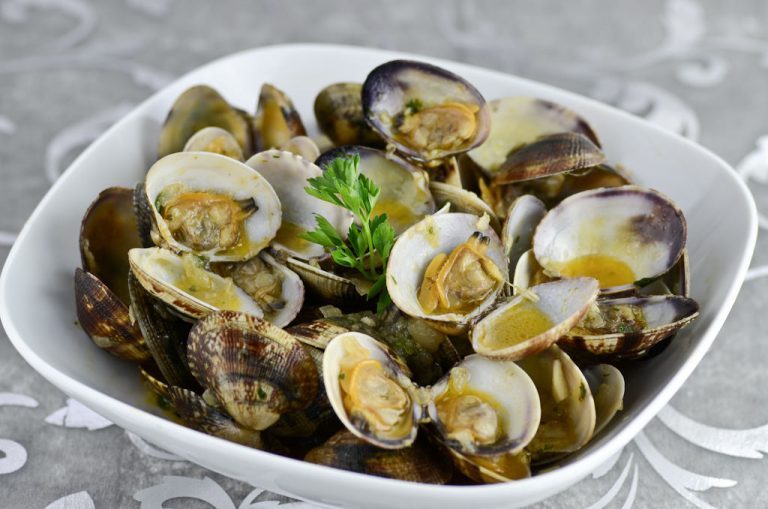 ¿Cuales son tus comidas favoritas?